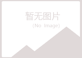 琼山区夏青银行有限公司